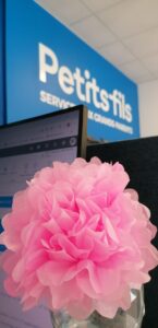 Agence Petits-fils Boulogne-sur-Mer