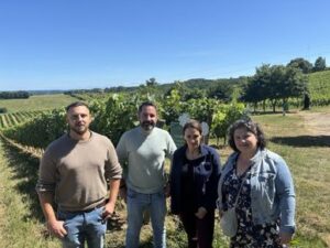 Agence Petits-fils Tarbes