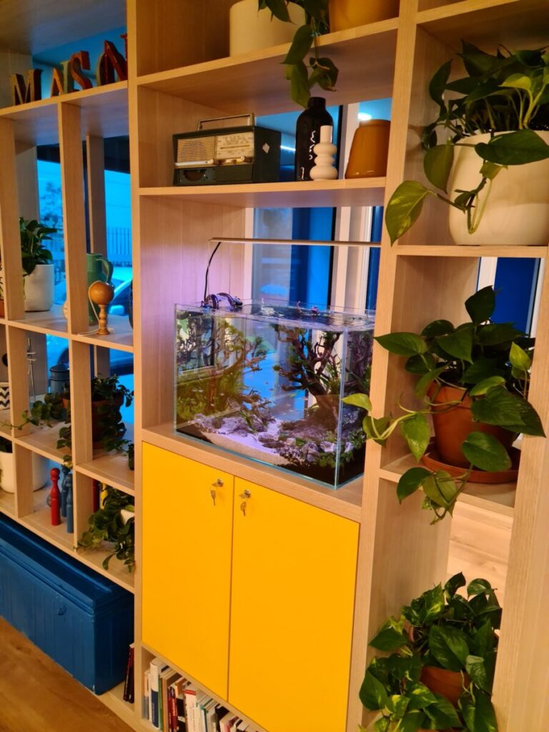 Agence d’aide à domicile Petits-fils Paris 15 - Locaux 2