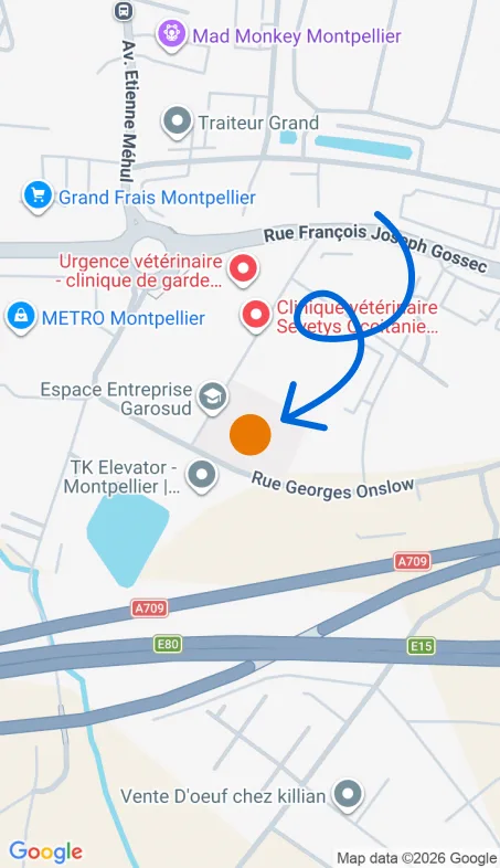Localisation de l'agence Agence d’aide à domicile Petits-fils Montpellier Ouest