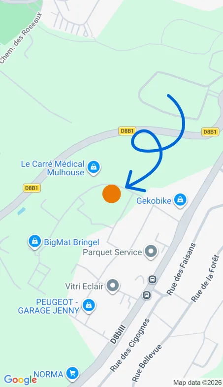 Localisation de l'agence Agence d’aide à domicile Petits-fils Mulhouse-sud